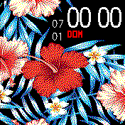 FLORES TROPICAIS ESPAÑOL