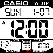 Casio Inspired for BIP