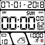 Casio new black white