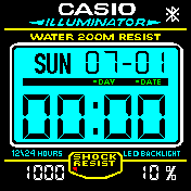 Casio with steps and battery