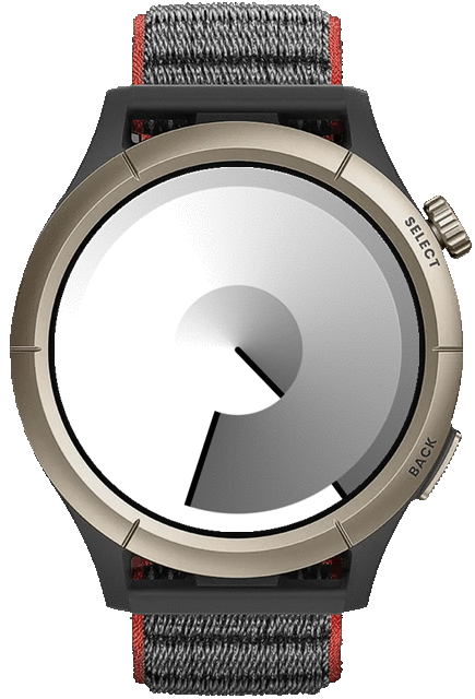 Disk White_Cheetah_Pro