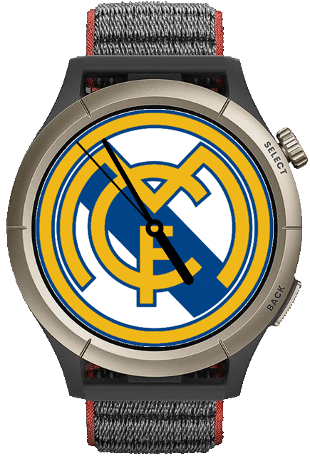 R Madrid_Cheetah_Pro