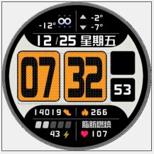 CH4-ZH_Cheetah_2_Pro