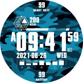 CASIO style for Falcon by wing