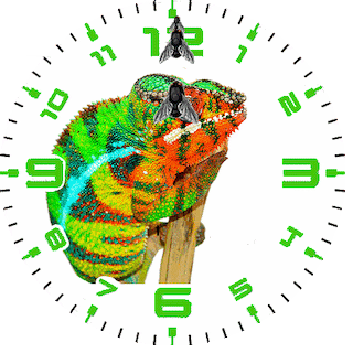 Chameleon - Flyhunter