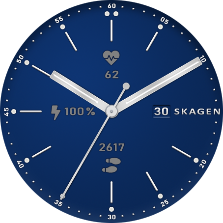 Skagen Signatur Busy