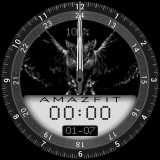 JanChan_Analog_04_Owl