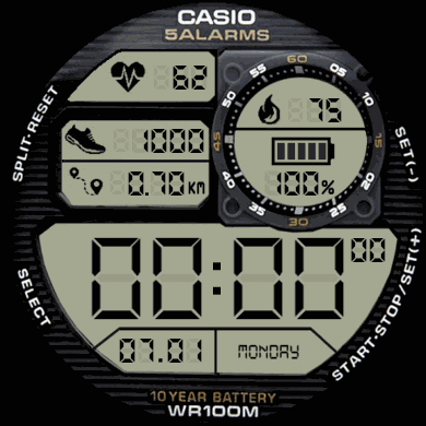 JanChan_CASIO_remake_GTR42