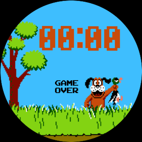 duck hunt