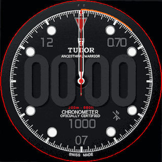 Tudor AncestralWarrior