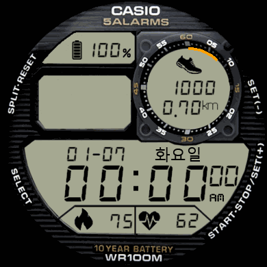 gtr_42_casio_weather_mod_KOR