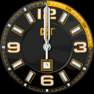 GTR CAT Yellow and Black