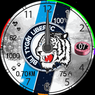 doga46-bily-tygri-v1-v2