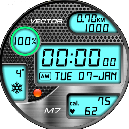 VECTOR-M7 Oval 12/24 H