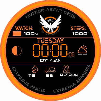 The Division