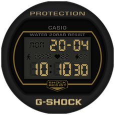 WS-Shock Gold V1.1 42mm