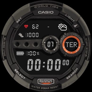 WS-Shock 42mm PT