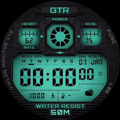 Ministar 39 «WS- GTR C4510 Green»