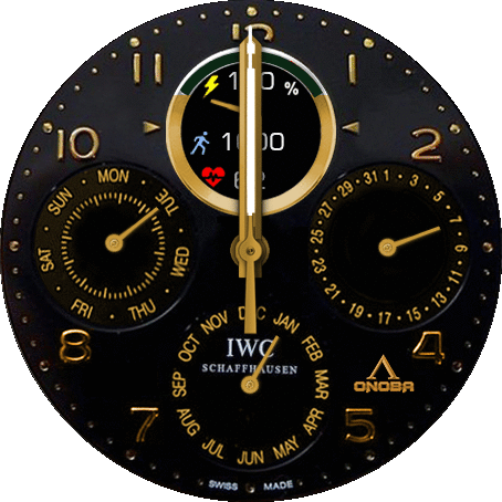 IWC ANALOGICO