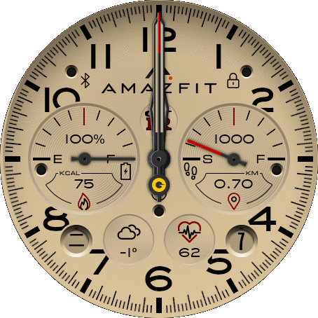 Amazfit-GTR专用
