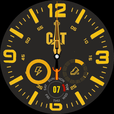 Cat_YellowGTR47_07252020_zip