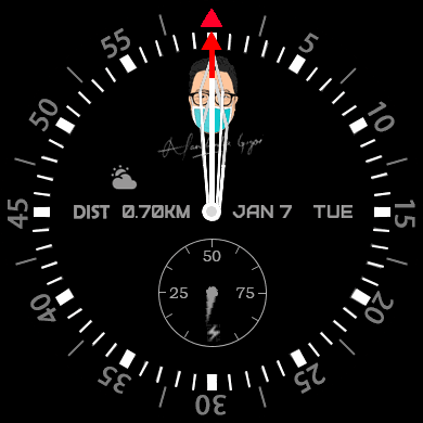 Garmin Edited