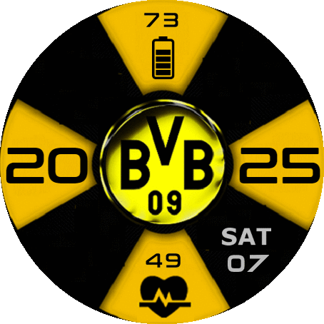 Borussia Dortmound BVB09