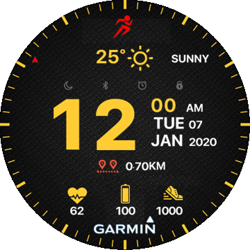 garmin sport