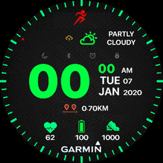 garmin sport