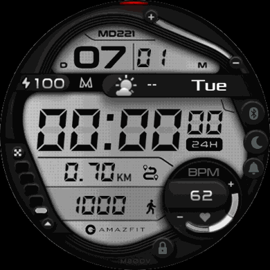 WS-MD221 Grey_42mm