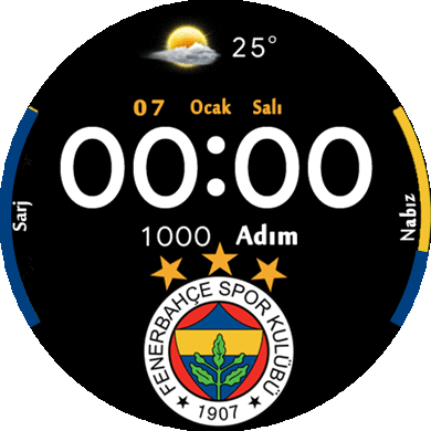 Fenerbahçe 42mm