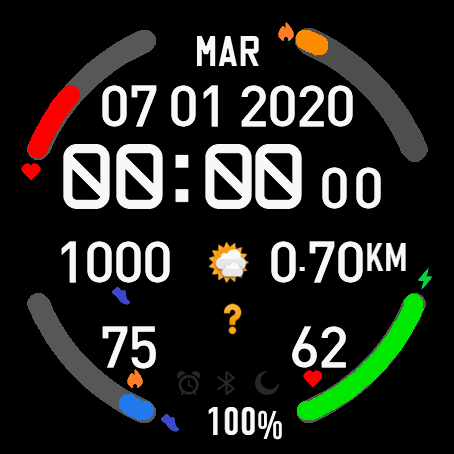 SAlva Model 4 varaint big number