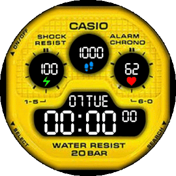 _CASIO_