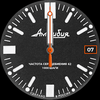 Amphibia 916