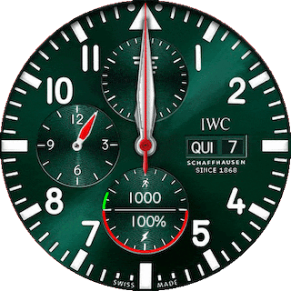 IWC_pilot_green (Pt)