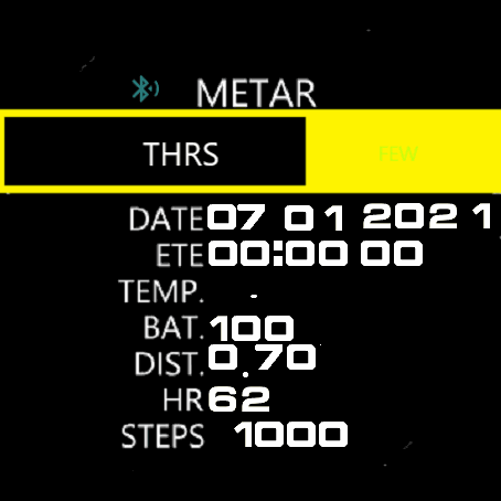 Garmin D2 Bravo (METAR)