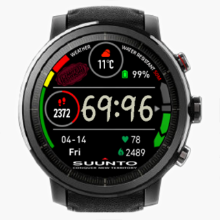 SUUNTO ft garmin_fun