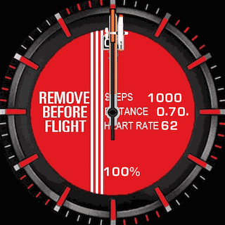 REMOVE BEFORE FLIGHT