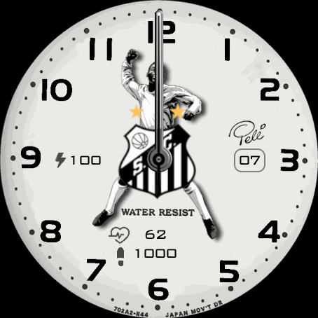 Santos Futebol Clube Pelé