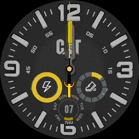 Caterpillar_yellow_details