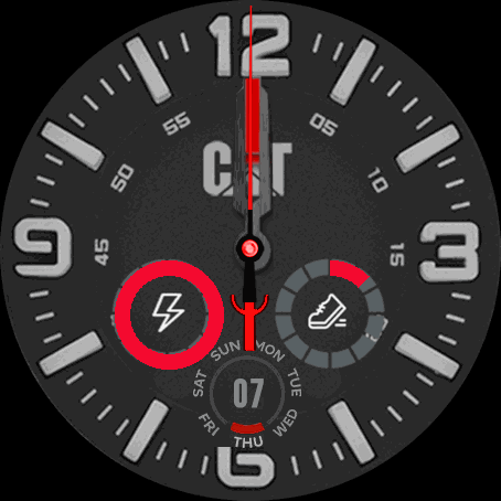 Caterpillar_red_details