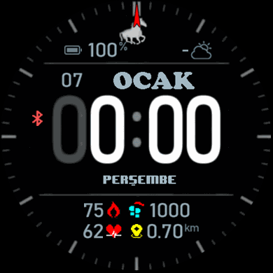 bluegray_remod_TR_GTR42