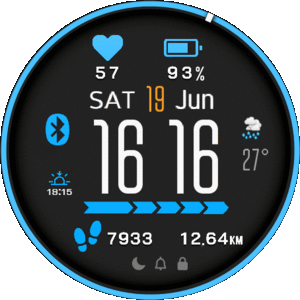 Garmin Blue