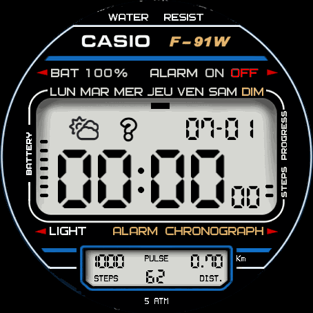 Casio F91WS