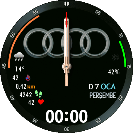 audi-REMOD_TR