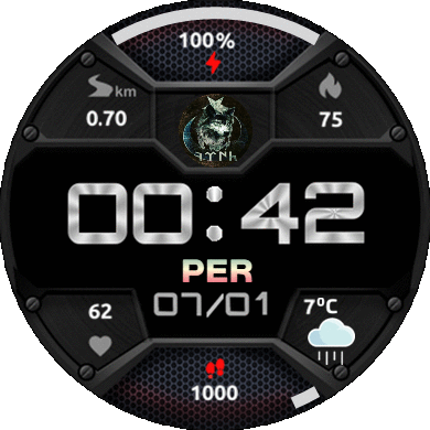 steel_REMOD_TR_GTR_42