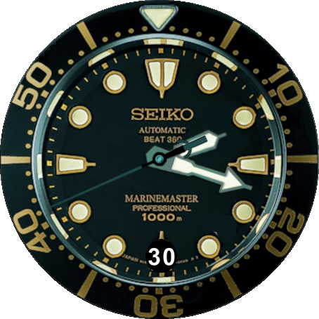 Seiko_Marinemaster