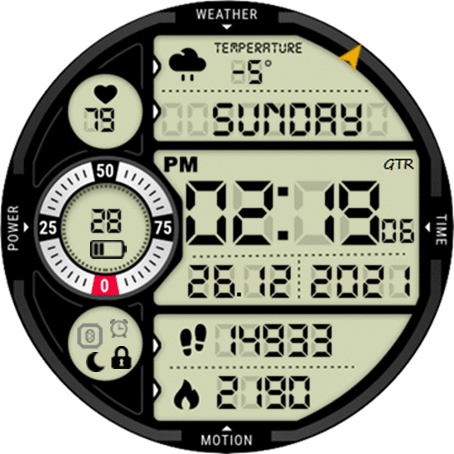 LCD retro GTR 42mm mod