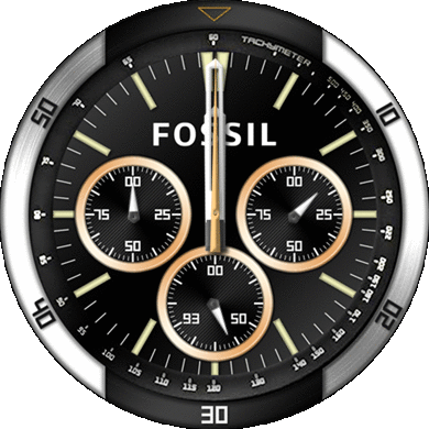 FOSSIL 42