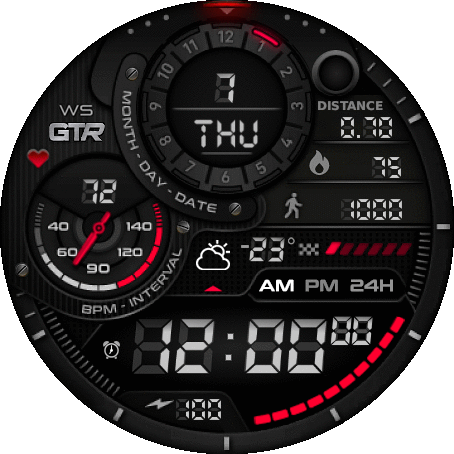 Wesley Santos WS-GTR x8.2 GTR2